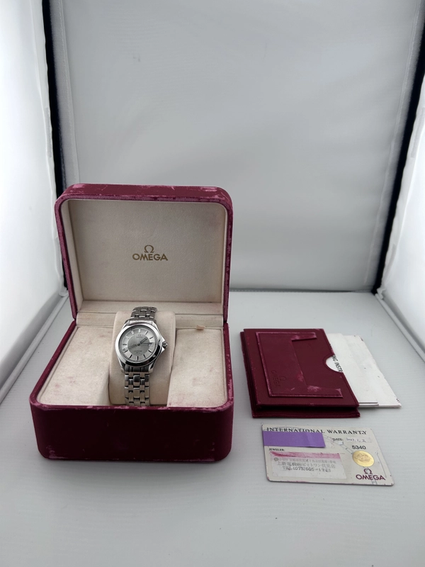 Omega Seamaster 120m Silver Dial on Stainless Steel Ref. 251131 Complete 2003 view 6