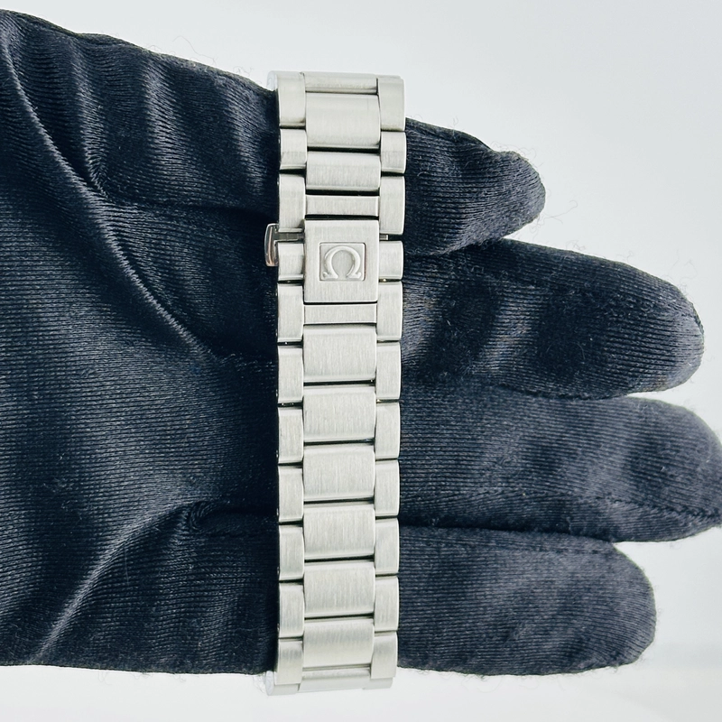 Omega Seamaster Aqua Terra Silver Dial on Stainless Steel Bracelet Ref. 2517.50.00 view 4
