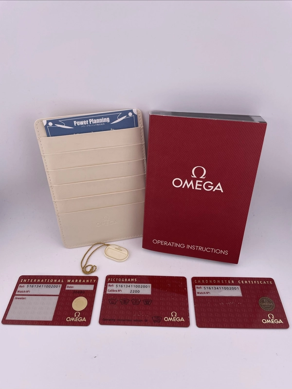 Omega Museum Silver Roman Numerals Dial on Brown Leather Strap Ref. 516.13.41.10.02.001 Complete Open Date view 7