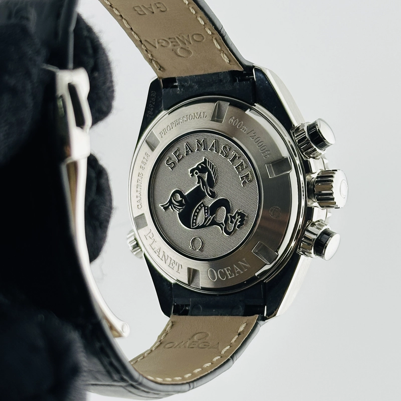 Omega Planet Ocean 600M Black Dial on Leather Band Ref. 222.18.38.50.01.001 Card Open Date view 7
